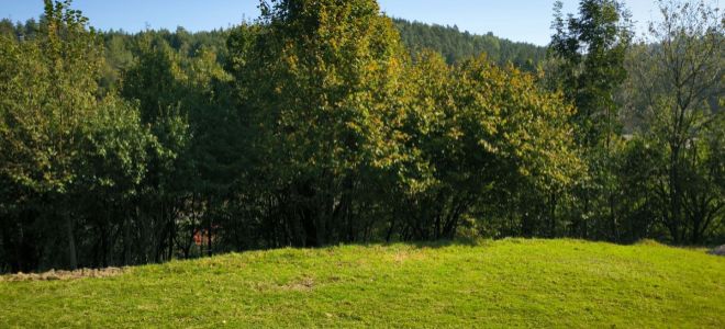 Predávame pozemok na stavbu rodinných domov v Hlboké nad Váhom