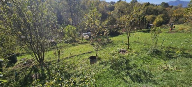 Predaj pozemku v záhradkarskej oblasti v osobnom vlastnictve,390 m2 - Budatín